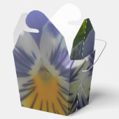 Ballotins Eloise (Ouvert)