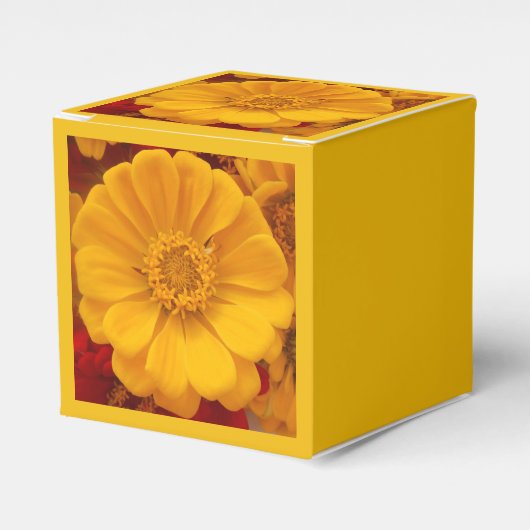 Ballotins Emmer (Verso)