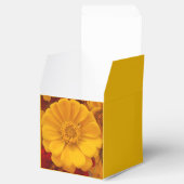 Ballotins Emmer (Ouvert)