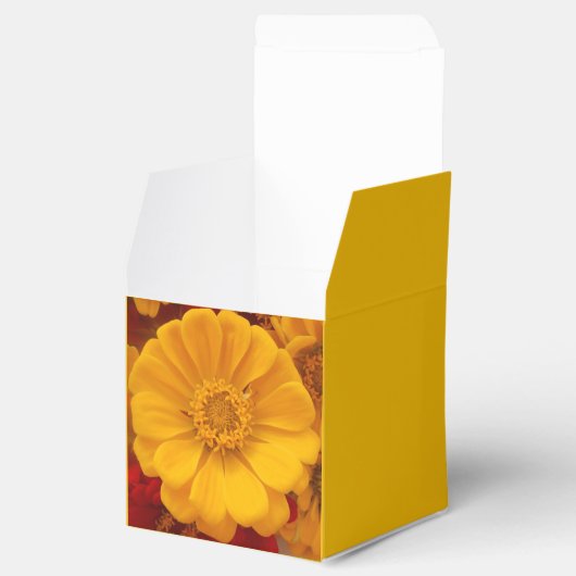 Ballotins Emmer (Ouvert)