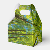 Ballotins En regardant à travers les feuilles d'arbres verts (Arrière)