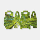 Ballotins En regardant à travers les feuilles d'arbres verts (Déplié)