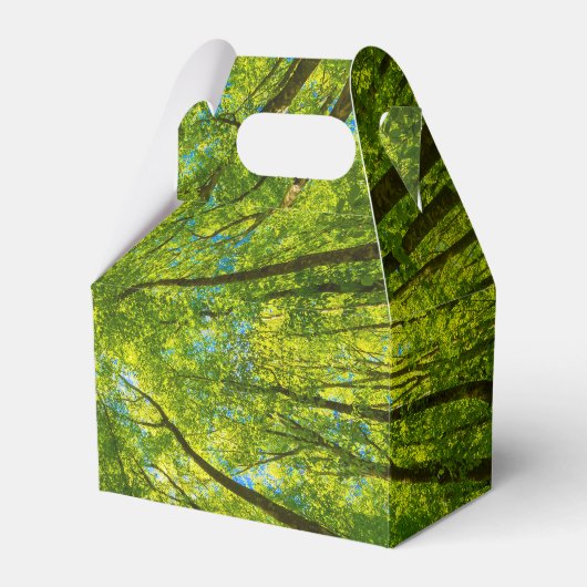 Ballotins En regardant à travers les feuilles d'arbres verts (Verso)