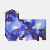 Ballotins Ermengarde (Déplié)