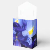 Ballotins Ermengarde (Ouvert)