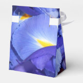 Ballotins Ermengarde (Arrière)