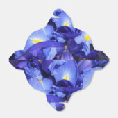 Ballotins Ermengarde (Déplié)