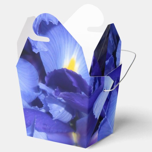 Ballotins Ermengarde (Ouvert)