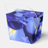 Ballotins Ermengarde (Arrière)