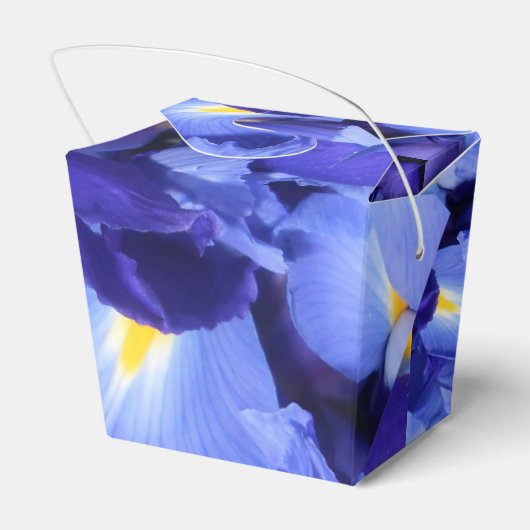 Ballotins Ermengarde (Arrière)