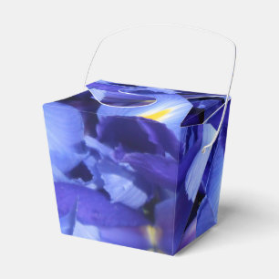 Ballotins Ermengarde