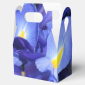 Ballotins Ermengarde (Ouvert)