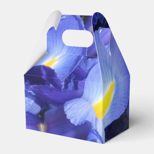 Ballotins Ermengarde (Verso)