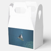 Ballotins Extraordinaire Stingray (Ouvert)