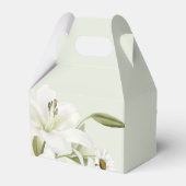 Ballotins Fa Arrière - plan Vert Clair (Arrière)