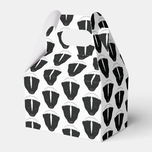 Ballotins Face de la peau (Arrière)