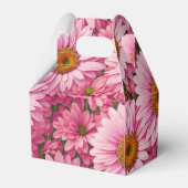 Ballotins Faisceaux rose rose printanière rose pâle margueri (Arrière)