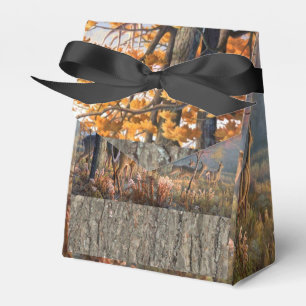 Ballotins Famille De Cerfs Jouant Sur Le Terrain