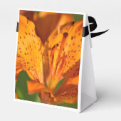 Ballotins Favor Box & Gifts (Arrière)