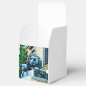 Ballotins Feline, Washington DC, États-Unis (Ouvert)