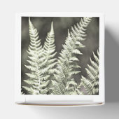 Ballotins Fern Artistic Abstrait (Haut)