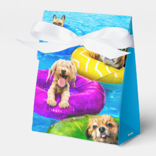 Ballotins Fête au bassin pour chiens
