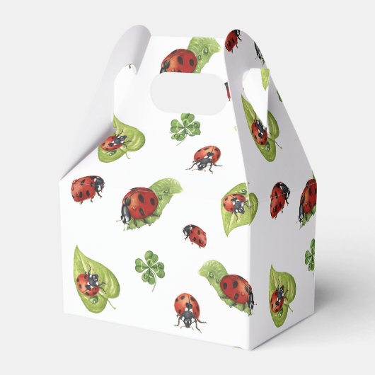 Ballotins Fête d'anniversaire de la petite dame Ladybug, n'i (Arrière)