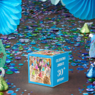 Ballotins Fête de chats