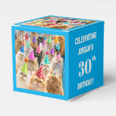 Ballotins Fête de chats (Verso)