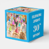 Ballotins Fête de chats (Arrière)