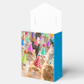 Ballotins Fête de chats (Ouvert)