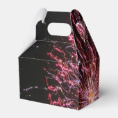 Ballotins Fête des feux d'artifice (Arrière)