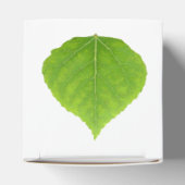 Ballotins Feuille d'Aspen vert #11 (Haut)