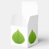 Ballotins Feuille d'Aspen vert #11 (Ouvert)