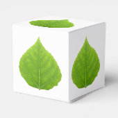 Ballotins Feuille d'Aspen vert #11 (Arrière)