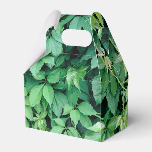 Ballotins Feuilles de raisins verts