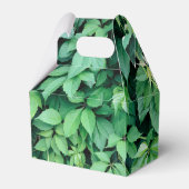 Ballotins Feuilles de raisins verts (Verso)