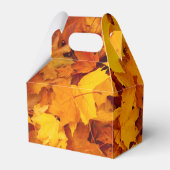 Ballotins Feuilles d'été indiens (Arrière)