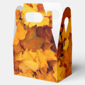 Ballotins Feuilles d'été indiens (Ouvert)