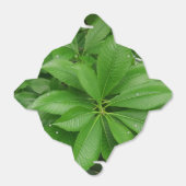 Ballotins Feuilles vertes Sortir Ballotin (Déplié)