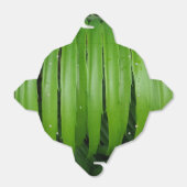 Ballotins Feuilles vertes Sortir Ballotin (Déplié)