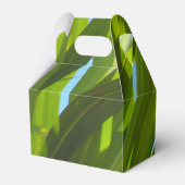 Ballotins Feuilles verts, soleil et ciel bleu (Arrière)