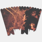 Ballotins Fireworks 20 boîtes pop-corn (Déplié)