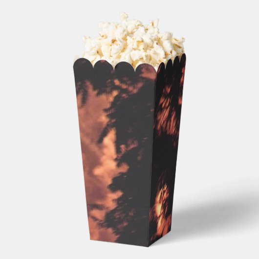 Ballotins Fireworks 20 boîtes pop-corn (Sauté)