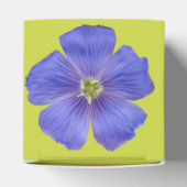 Ballotins Flèche bleue n° 1 (Haut)