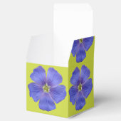 Ballotins Flèche bleue n° 1 (Ouvert)