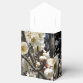 Ballotins Fleur de cerisier blanc / Sakura / ク(桜) (Ouvert)