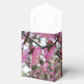 Ballotins Fleur de cerisier rose / Sakura / ク(桜) (Ouvert)