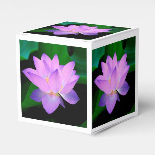 Ballotins Fleur de Lotus (Verso)