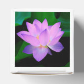 Ballotins Fleur de Lotus (Haut)